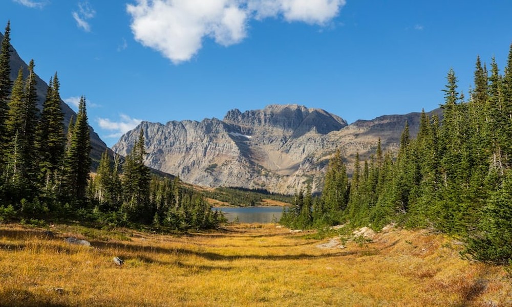 A Complete Look at Bozeman Rental Options for Outdoor Trips